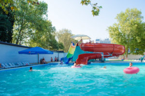 Terapia cu delfin în lazarevsky fotografie, video, pe hartă, recenzii