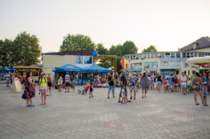 Terapia cu delfin în lazarevsky fotografie, video, pe hartă, recenzii