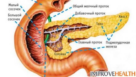 Dieta cu inflamatie a pancreasului - ce poti face ca nu poti