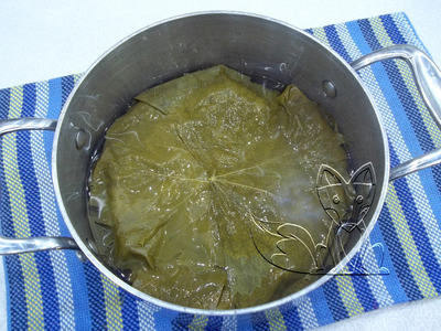 Dolma din frunze de struguri - cum să gătești un fel de mâncare delicioasă