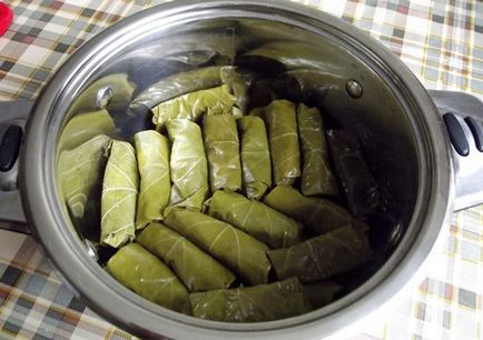 Dolma în frunze de struguri - rețete dintr-o fotografie a unui vas în armenian, în Azerbaidjan, într-o multivariat,