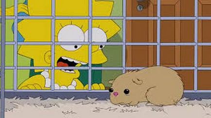 Animale de companie din familia Simpsons