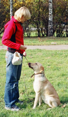 Training Labrador la Moscova - serviciile unui psiholog dog-câine câine