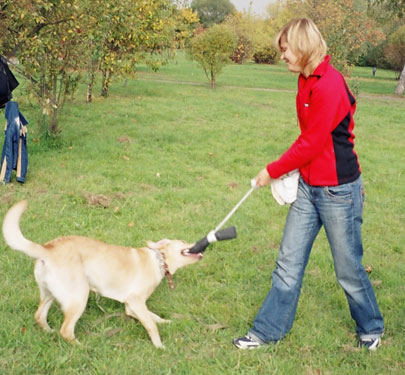 Instruirea Labrador la Moscova - serviciile unui psiholog câine medic-câine