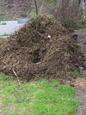 Lemn rutier ca un îngrășământ compost, cum să fertilizeze este prezentat pe video