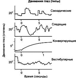 Рух очей - студопедія