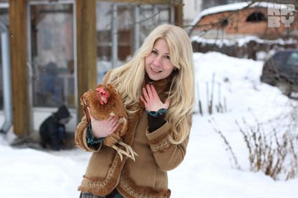 Környezetbarát csirke Minszkben költség 150 ezer rubel - Partai Horad