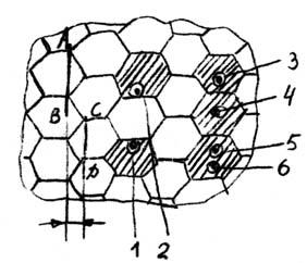 Manualul electronic