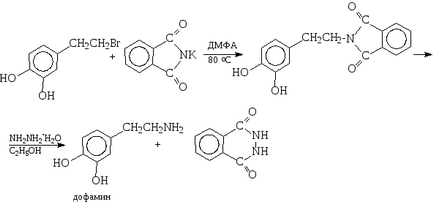 Enzime de amine