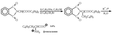 Enzime de amine