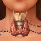 Якщо тисне або болить щитовидна залоза