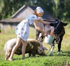 Федеральна мережа обміну знаннями і технологіями в сільському господарстві, волгоградская область,