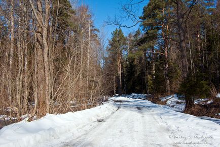 Fort - cal gri, călătorie în fotografii