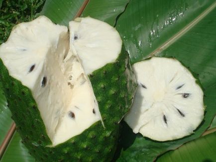Guanabana sau fructul unui pietris - ce este?