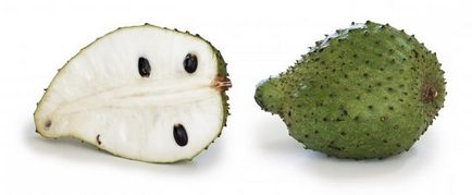 Guanabana sau fructul unui pietris - ce este?