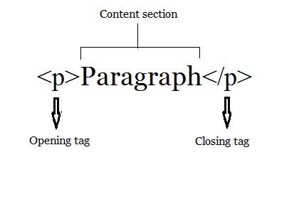 Paragrafele HTML și html paragrafe scopul lor și utilizarea în documente, un blog despre crearea site-uri web,