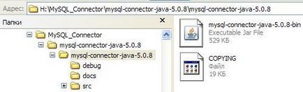 Java și mysql