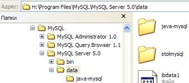 Java és MySQL