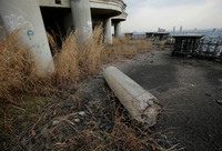 Ce va arăta lumea fără oameni 20 de fotografii ale unor locuri abandonate de mult timp din întreaga lume