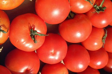 Яке насіння помідор врожайні і низькорослі