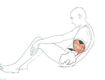 Ce exerciții pentru mușchii abdominali proeminențează stomacul