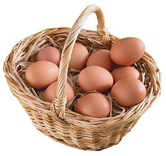 Які яйця корисніше - з білою шкаралупою або з коричневої