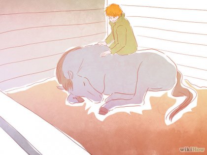 Cum să porniți creșterea calului