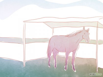 Cum să porniți creșterea calului