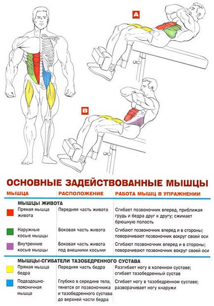 Як накачати нижню частину преса, азбука тіла