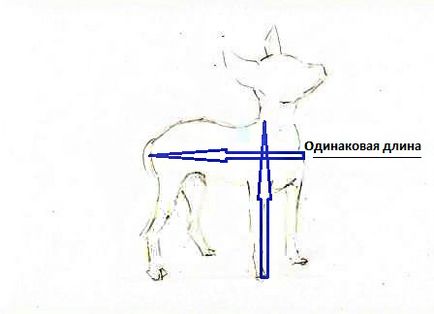 Cum de a desena un jucărie terrier