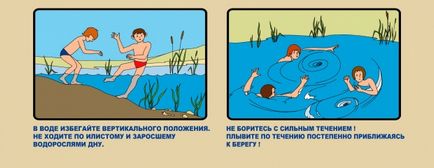 Як навчитися плавати поради для початківців - вся беларусь