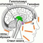 Як знайти ідеального чоловіка або повний