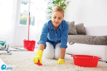 Як очистити палас від пластиліну, serviceyard-затишок вашого будинку в ваших руках