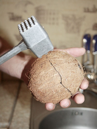 Cum de a deschide o nucă de cocos la domiciliu, mâncare!