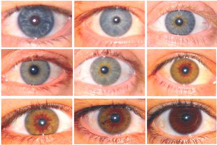 Який найрідкісніший колір очей на планеті факти і вигадки