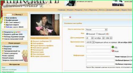 Cum se utilizează trackerele torrent, freebie pe Internet