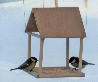 Hogyan segíthet a madarak télen, flapgorod vélemények