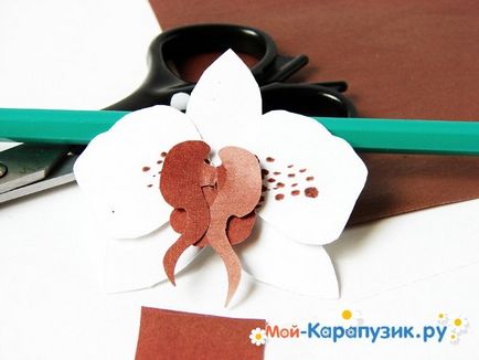 Hogyan készítsünk egy orchidea papír (papír) Hogyan készítsünk egy orchidea papír
