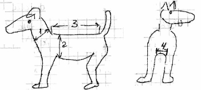 Cum de a lega un pulover pentru un câine - Bulldogoman forum - Filtru bulldog engleză