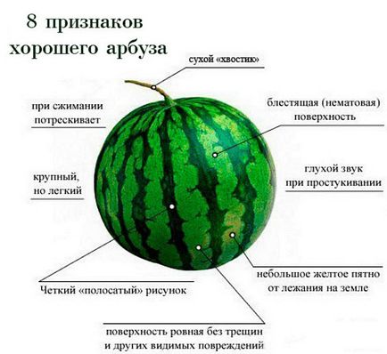 Hogyan válasszuk ki egy érett és édes görögdinnye