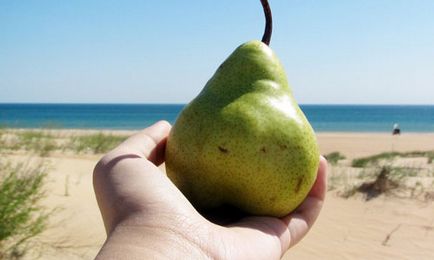 Despre ce visează o pere, visând un vis de pere într-un vis