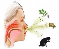 КДК - лікування алергії в Самарі і Тольятті