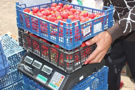 Strawberry sezon locale Berry pe piață