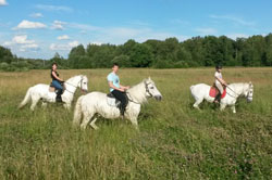 Кінно-спортивний клуб золота грива верхова їзда, кінні прогулянки