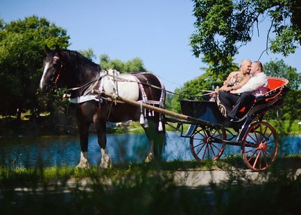 Кінно-туристичний клуб петергоф, кінно-туристичний клуб