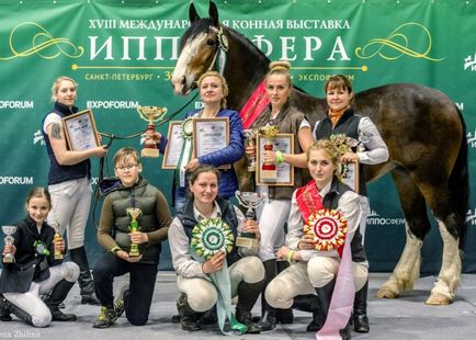 Calul și clubul turistic Peterhof, club de turism ecvestru