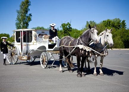 Calul și clubul turistic Peterhof, club de turism ecvestru