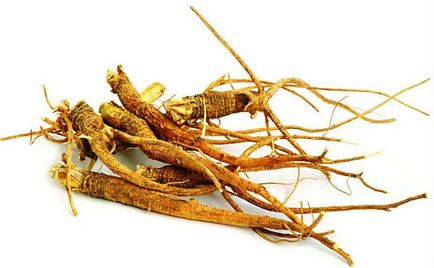 Rădăcina de ginseng pentru bărbați și femei (rădăcina vieții)