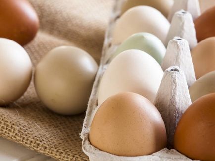 Коричневі і білі яйця в чому різниця