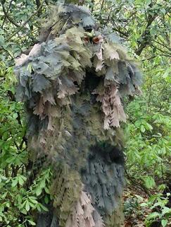 Костюм лісовик фото - створюємо костюм лісовика